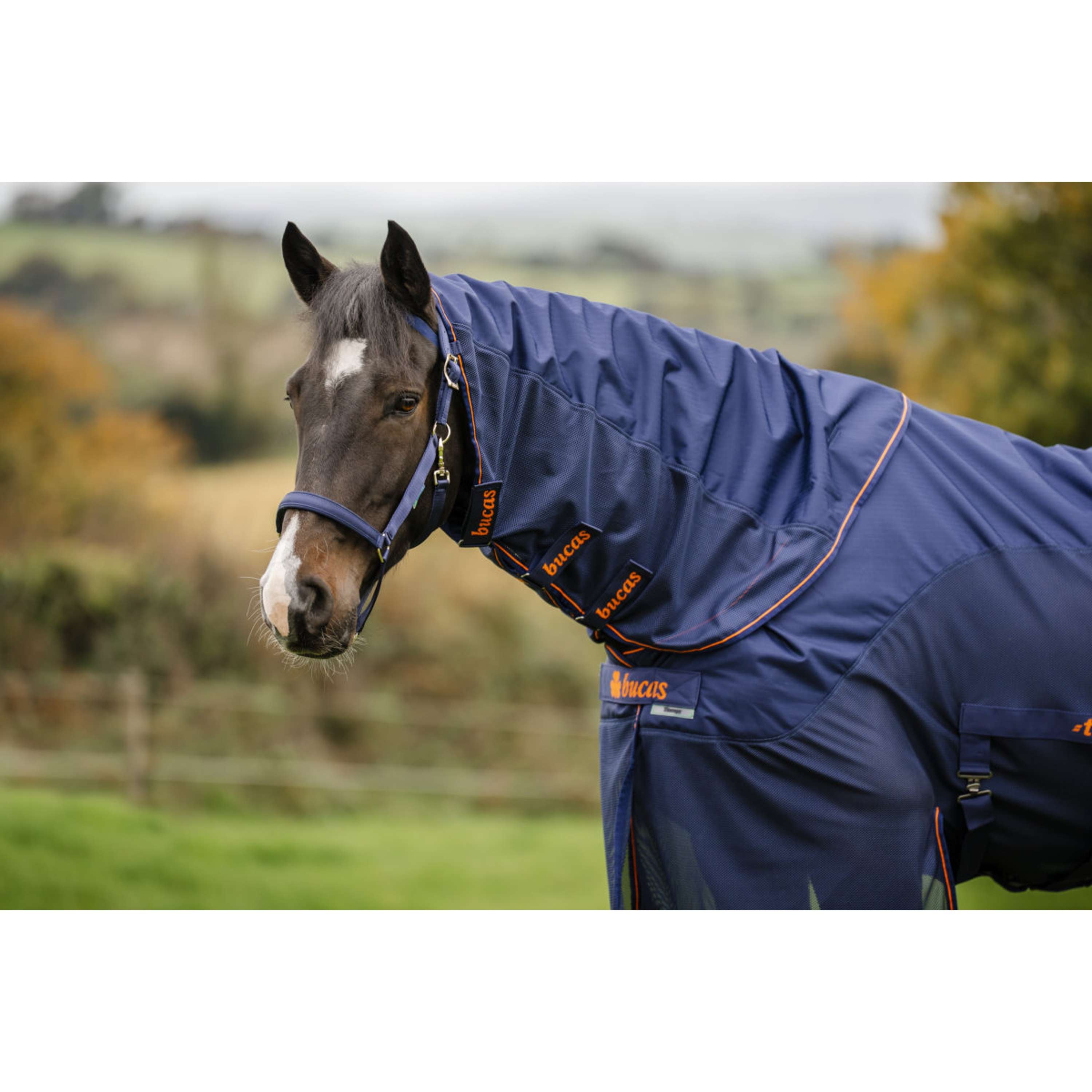 Bucas Terapia X-Range Rain Blu marino/arancione