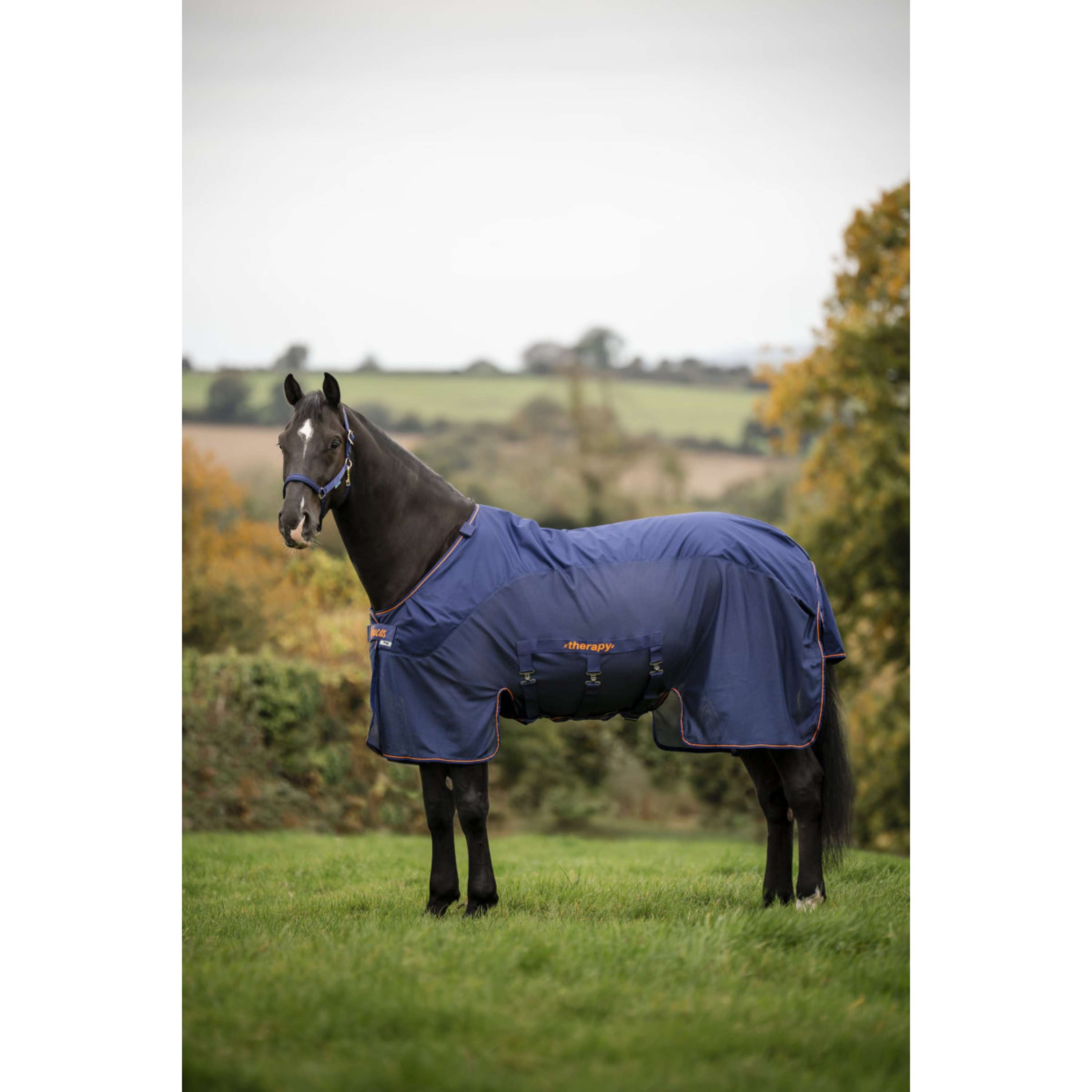 Bucas Terapia X-Range Rain Blu marino/arancione