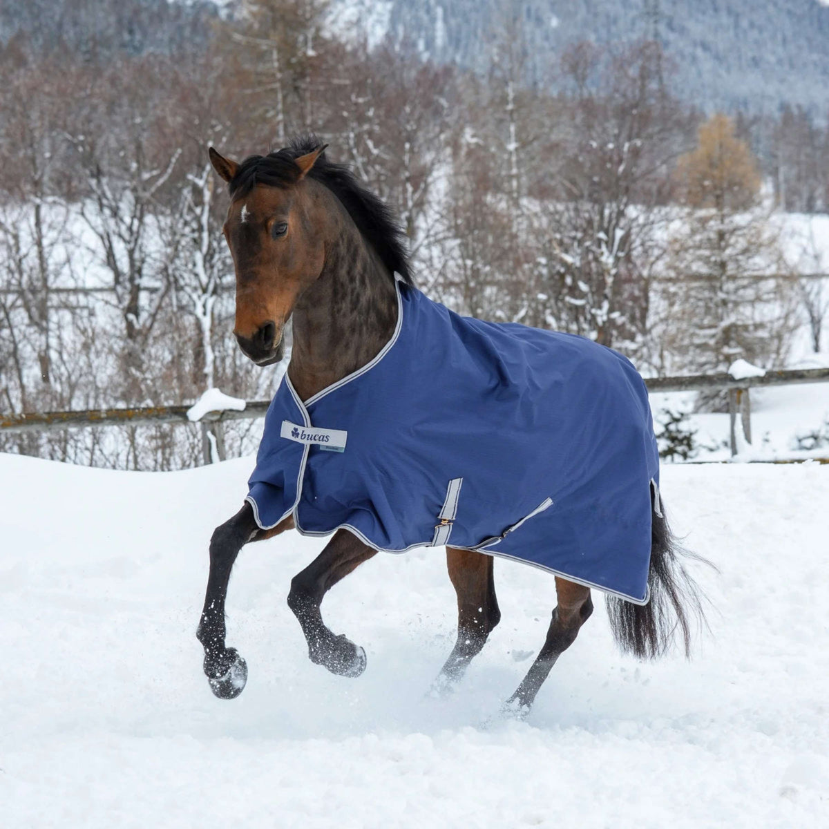 Bucas Turnout Freedom 150g Navy