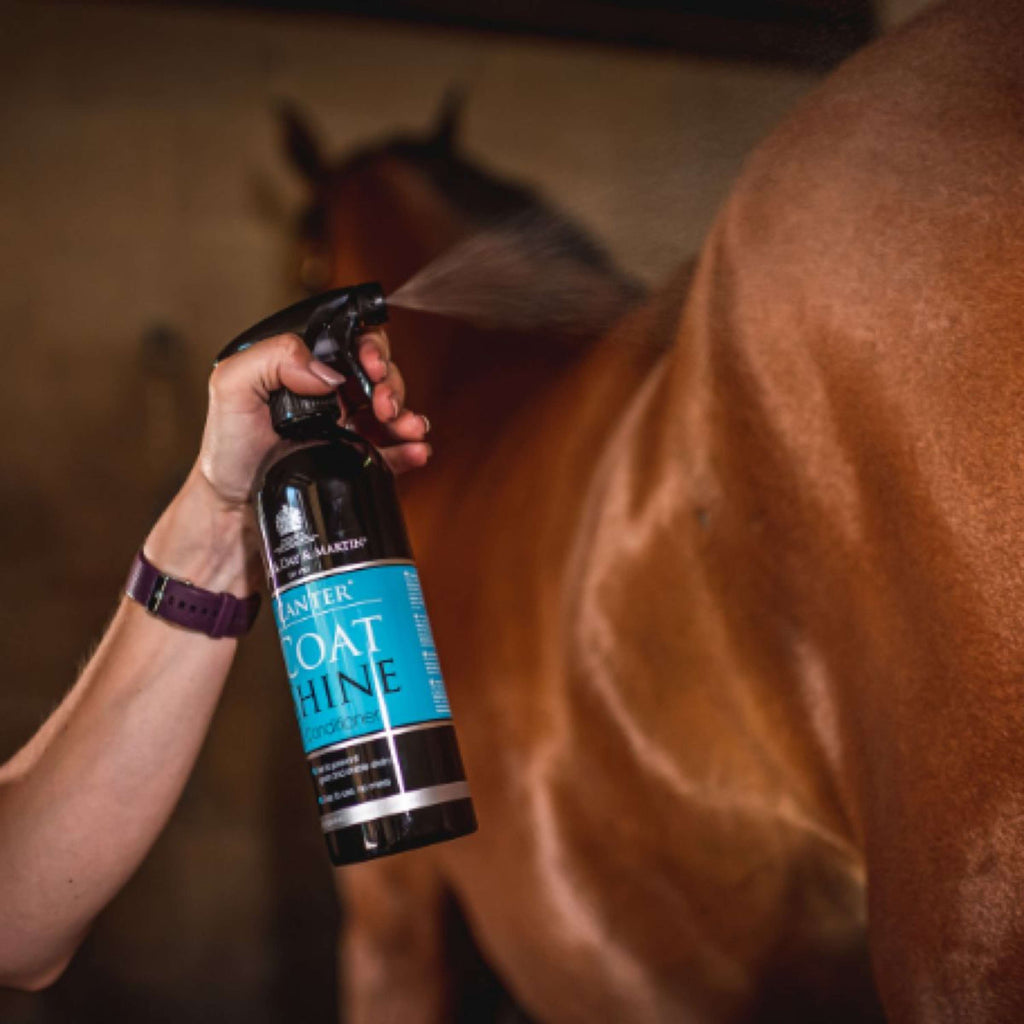 Carr & Day & Martin Spray Lucidante Canter Coat Shine
