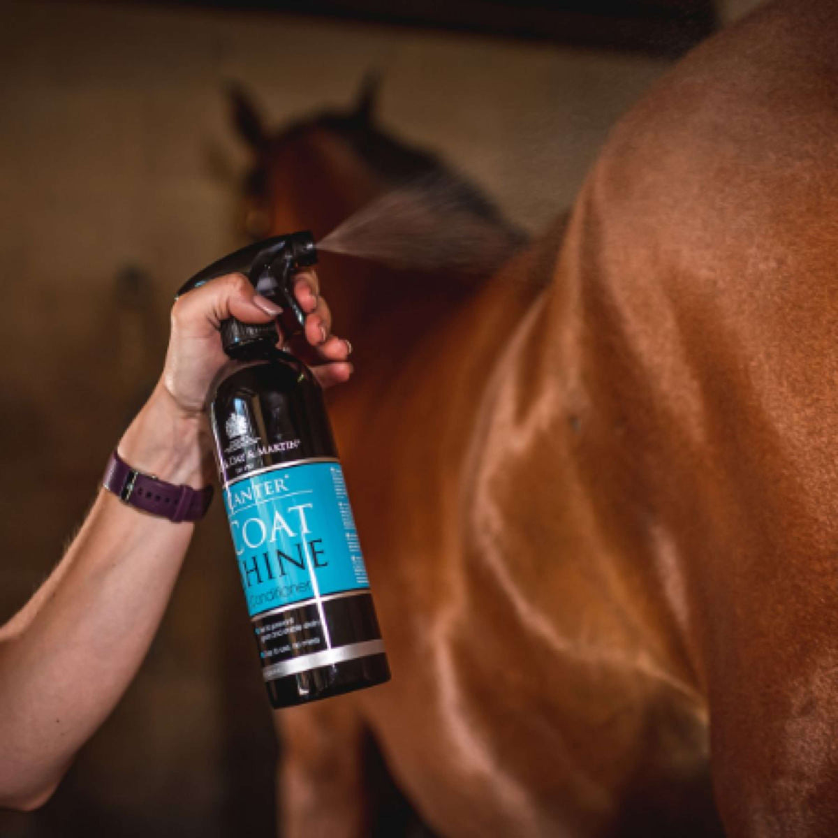 Carr & Day & Martin Spray Lucidante Canter Coat Shine Equimist