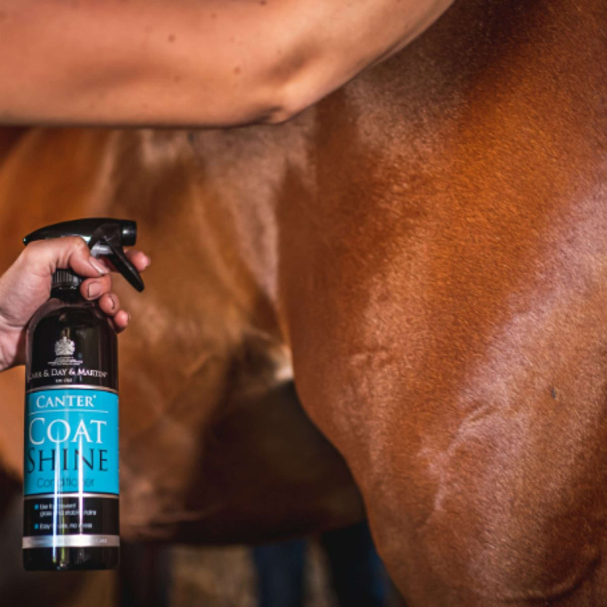 Carr & Day & Martin Spray Lucidante Canter Coat Shine Equimist