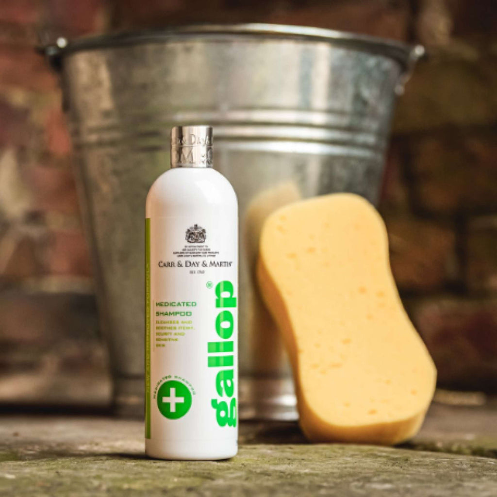Carr & Day & Martin Shampoo Medicato Pelle