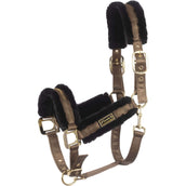 Cavallo Capezzina CavalLylou Dark Caramel