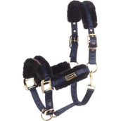 Cavallo Capezzina CavalLylou Night Shadow