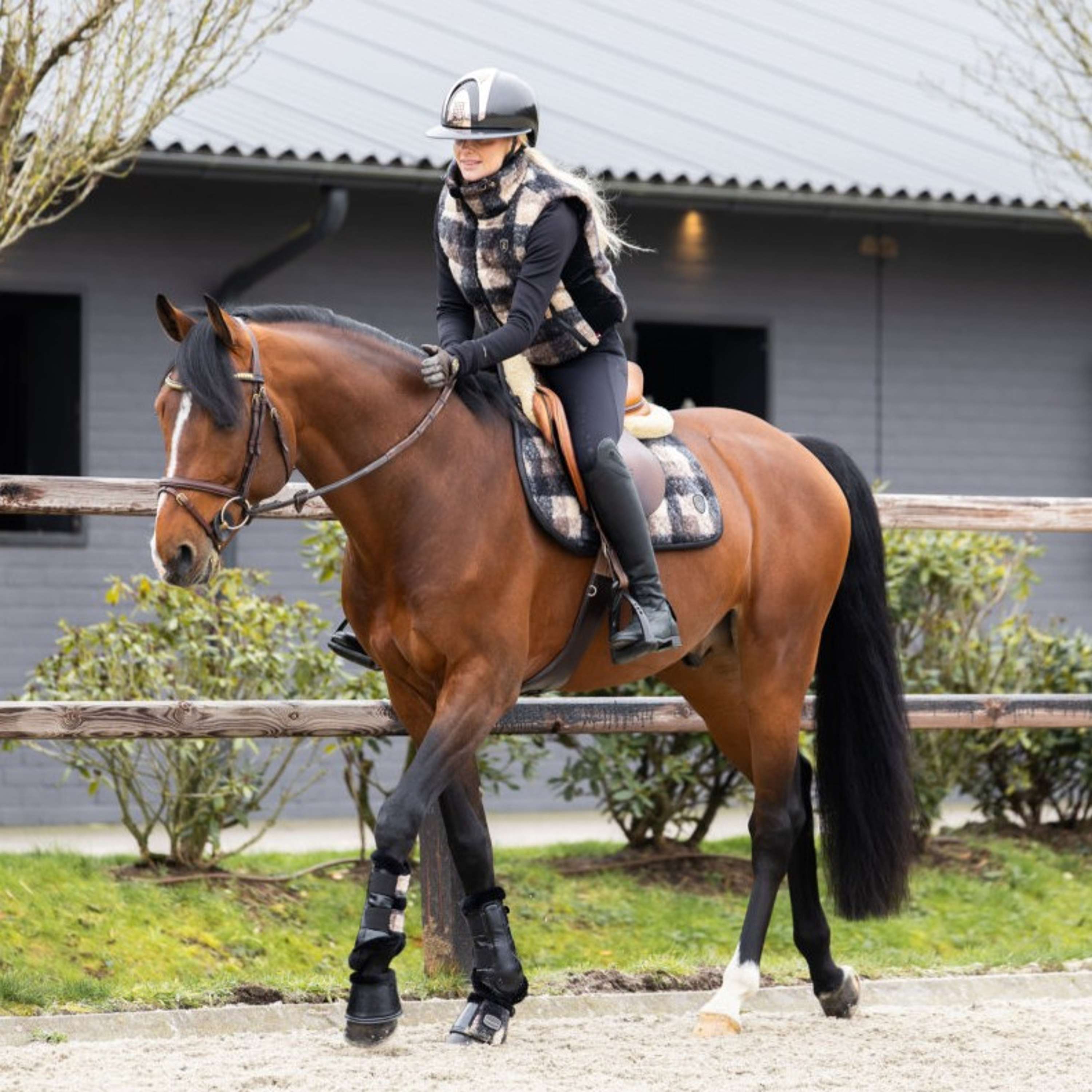 Cavallo Sottosella Cavallevie Uso generale Controllo