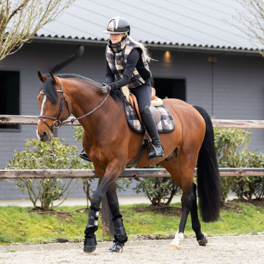 Cavallo Sottosella Cavallevie Dressage Controllo