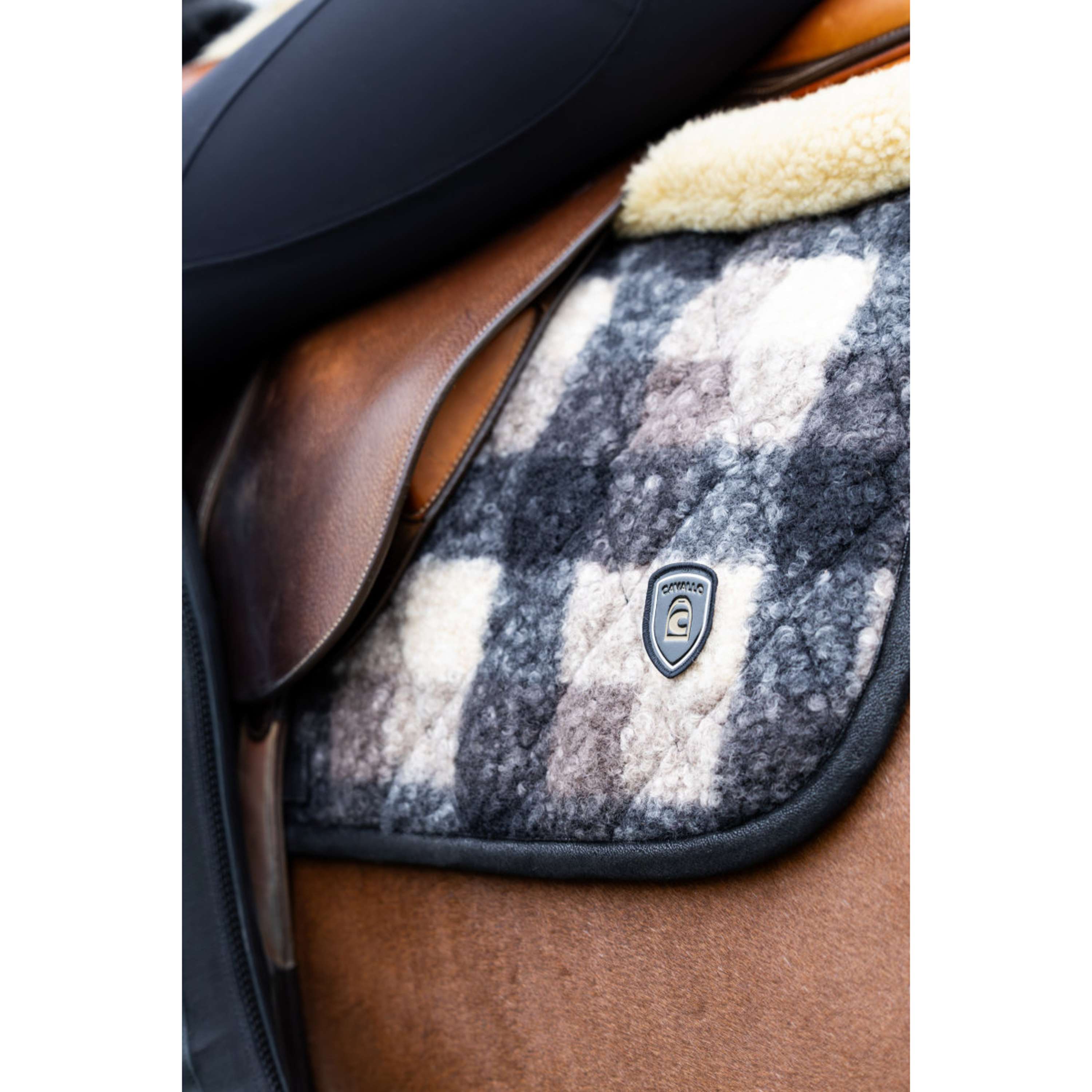 Cavallo Sottosella Cavallevie Dressage Controllo