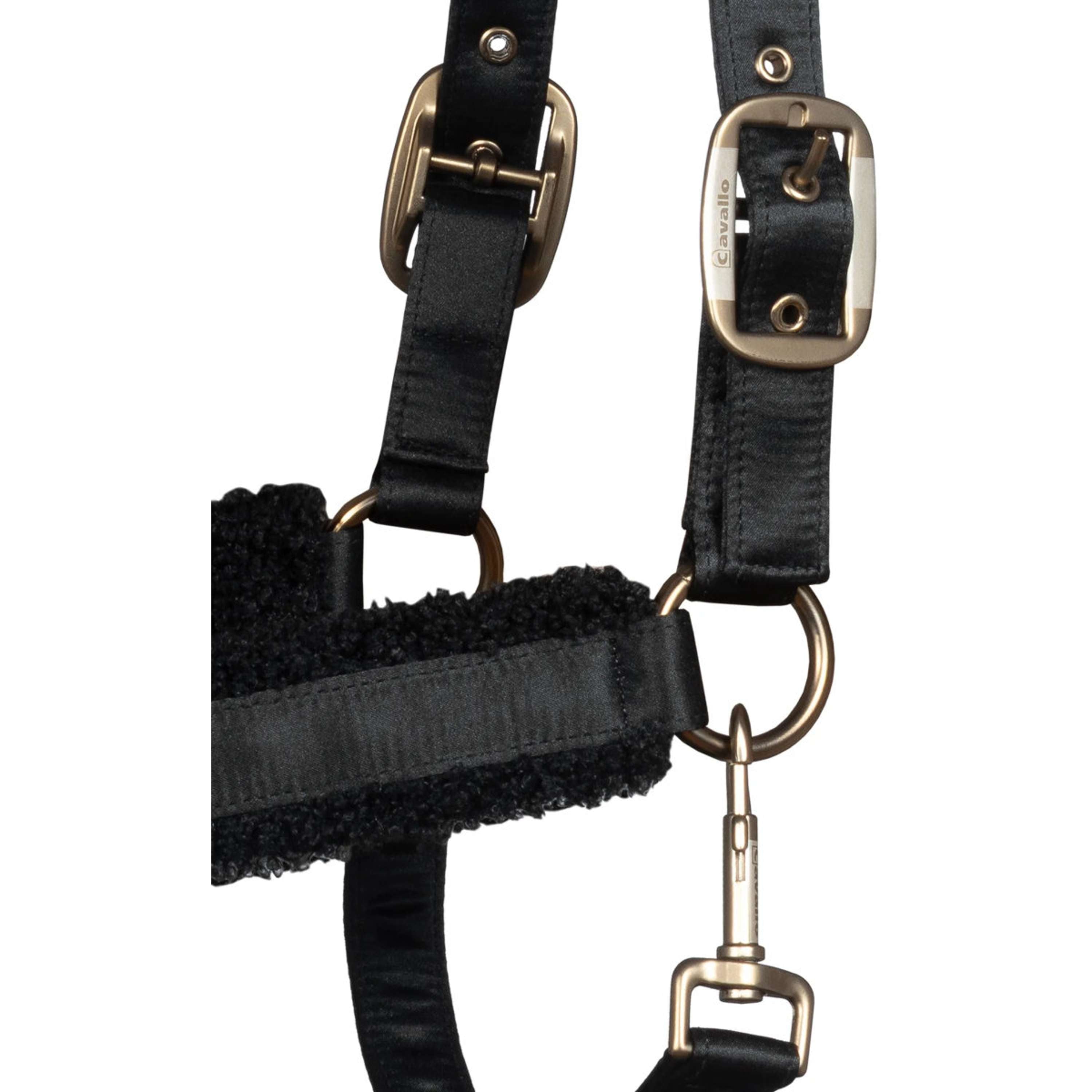 Cavallo Cavezza Cavallidi Nero