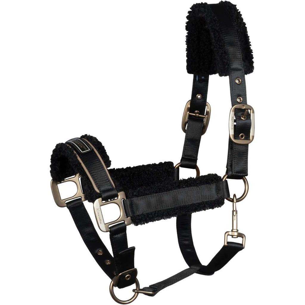 Cavallo Cavezza Cavallidi Nero