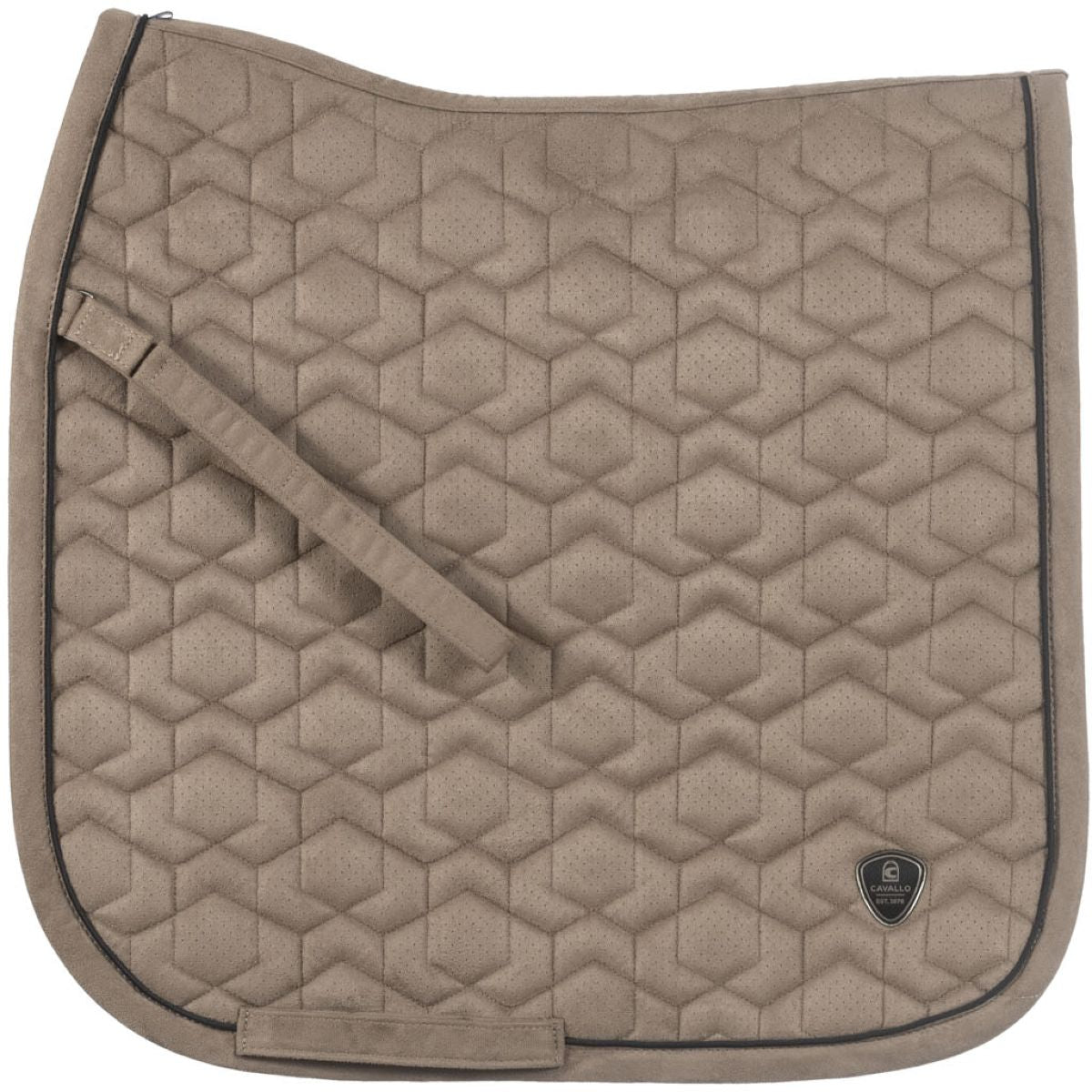 Cavallo Sottosella Cavalpam Dressage Biscotto