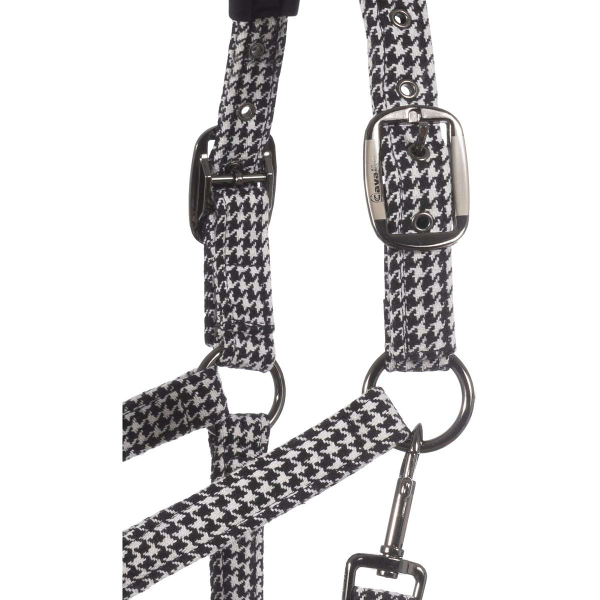 Cavallo Capezzina Cavalpeppy Nero
