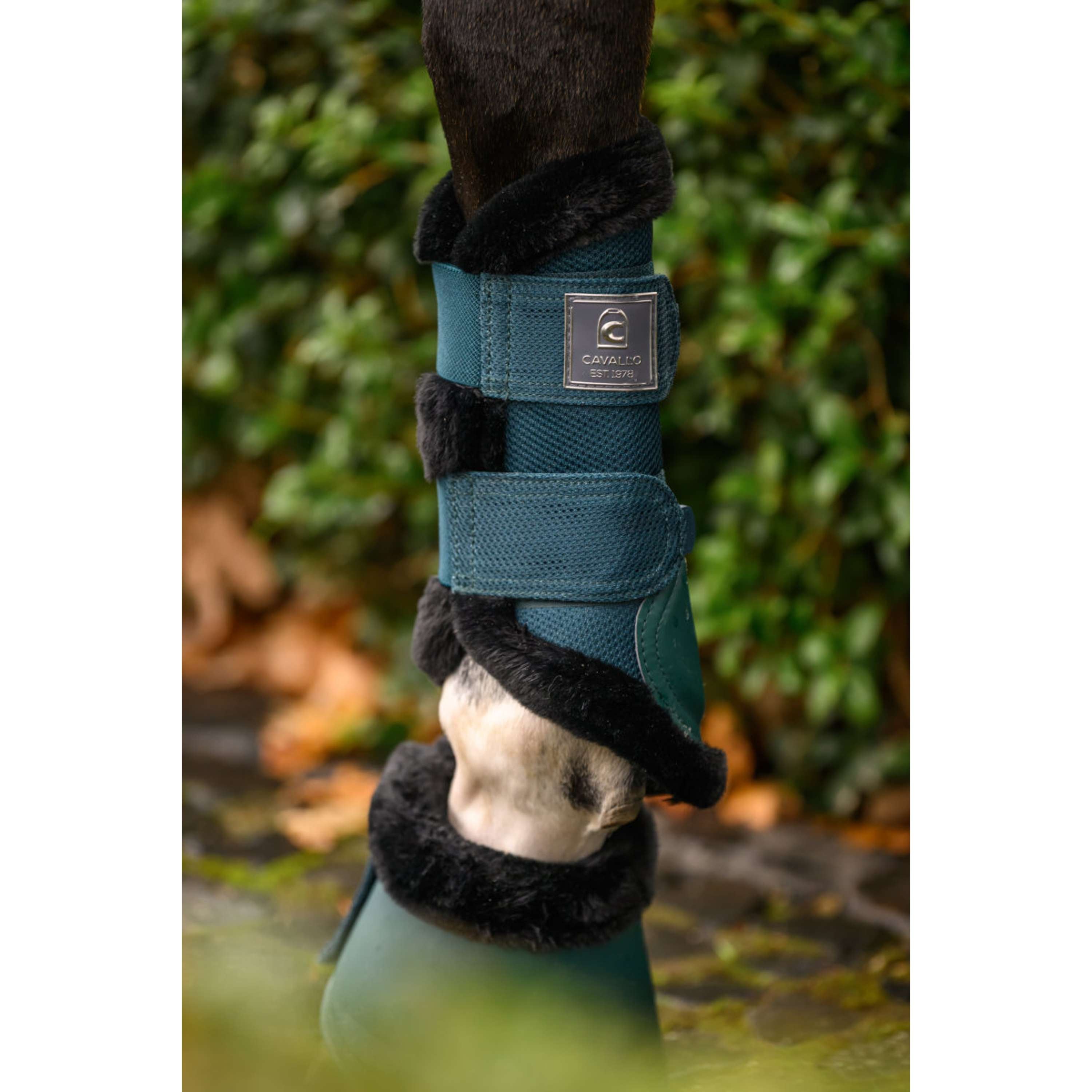 Cavallo Stivaletti a Campana CavalJodi Dark Peacock