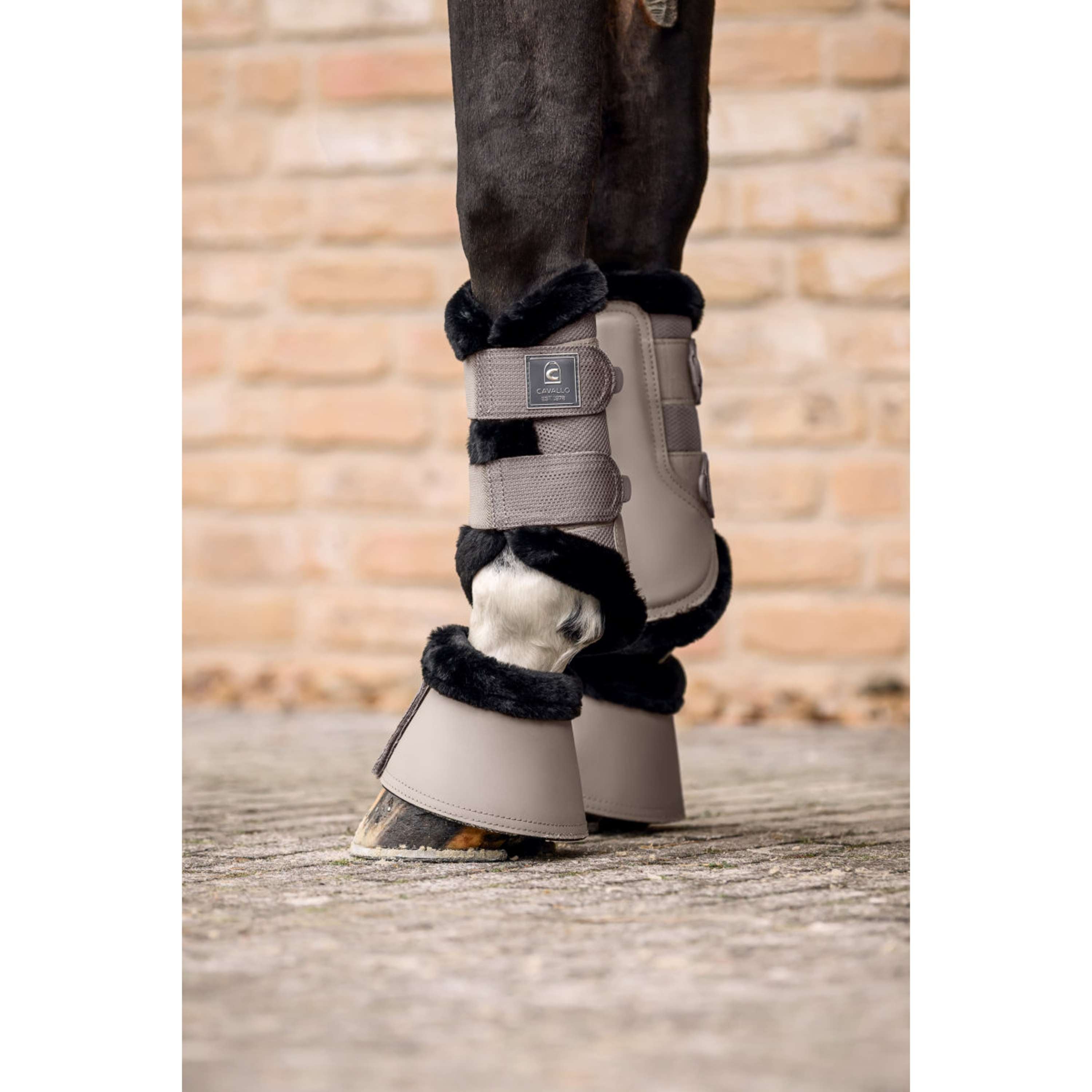 Cavallo Stivaletti a Campana CavalJodi Latte