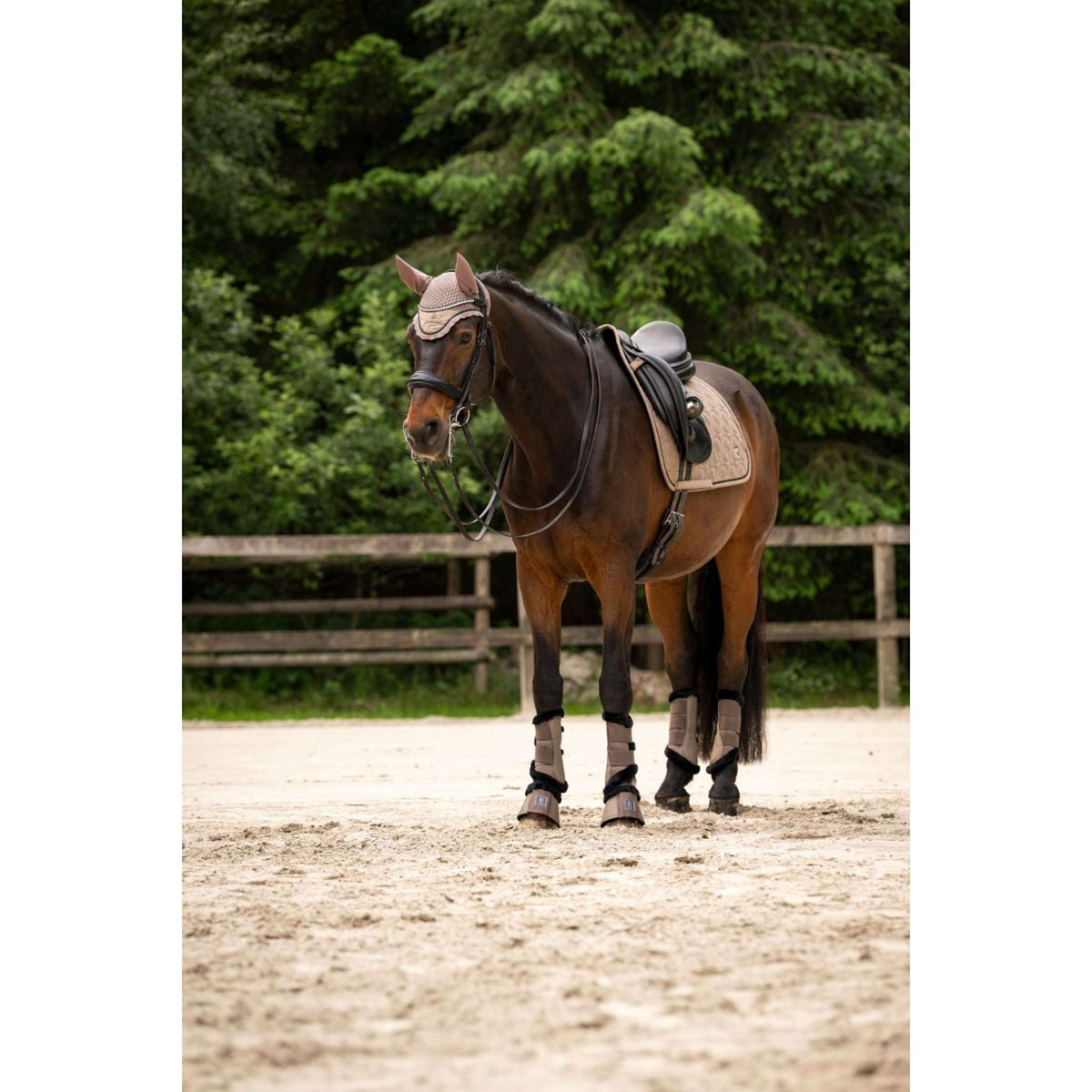 Cavallo Stivali da dressage CavalJoca Mocha Latte