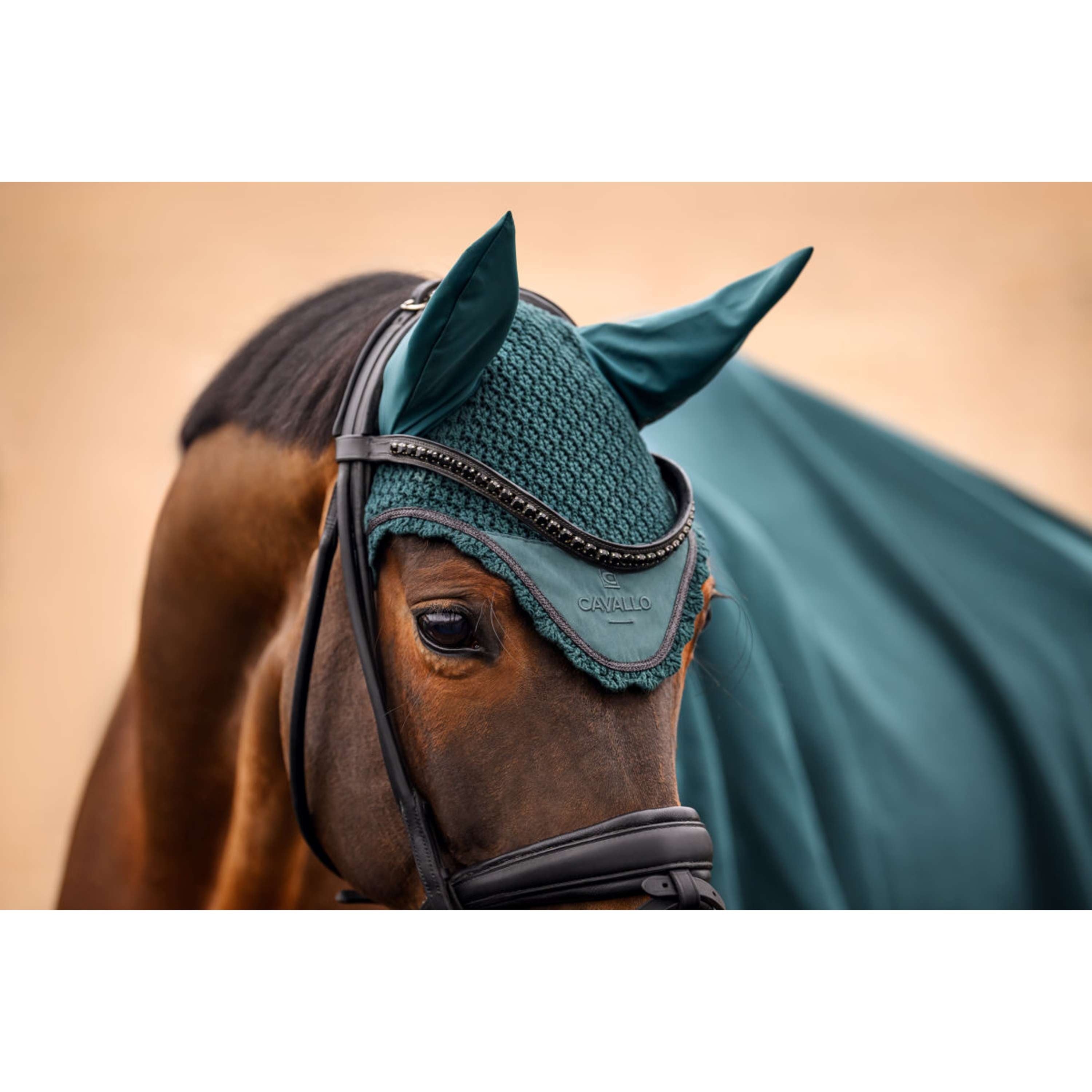 Cavallo Cuffietta CavalPerla Dark Peacock