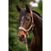 Cavallo Cavezza CavalPawel Mocha Latte