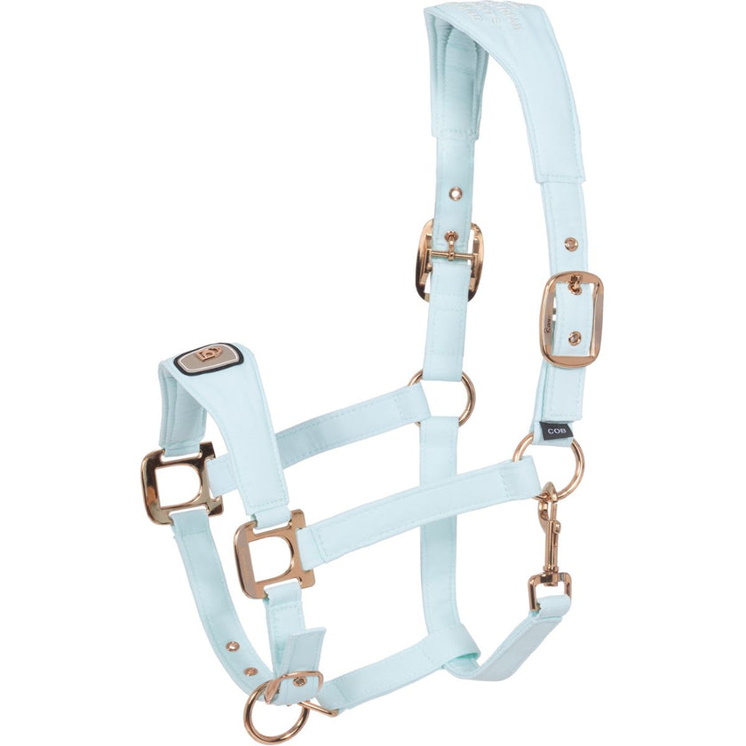 Cavallo Capezzina CavalPawel Crystal Blue