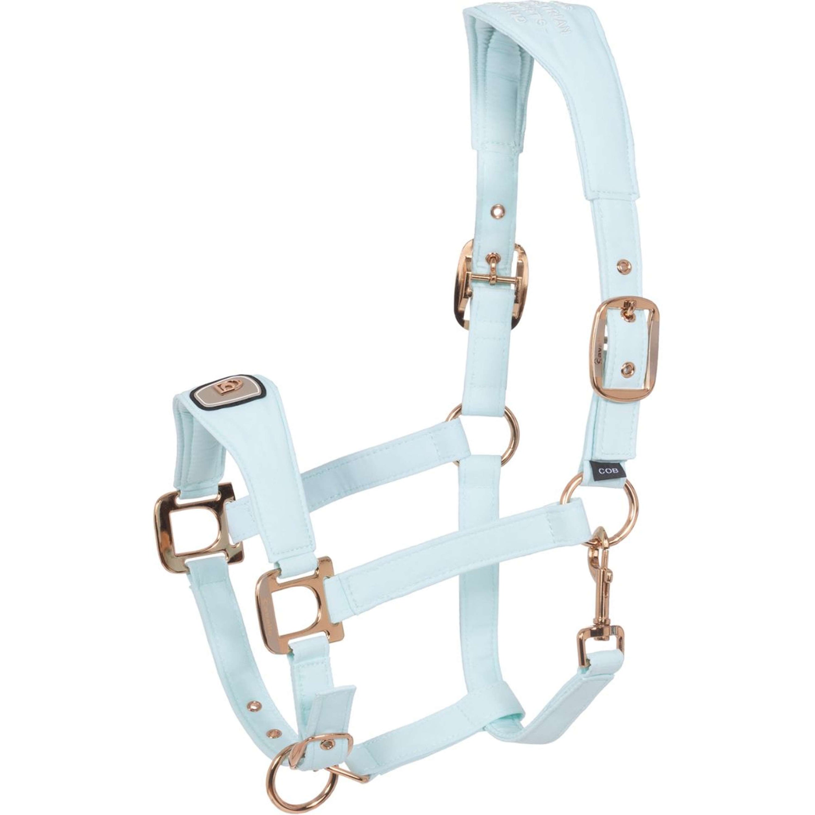 Cavallo Capezzina CavalPawel Crystal Blue