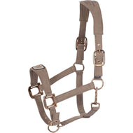 Cavallo Cavezza CavalPawel Mocha Latte