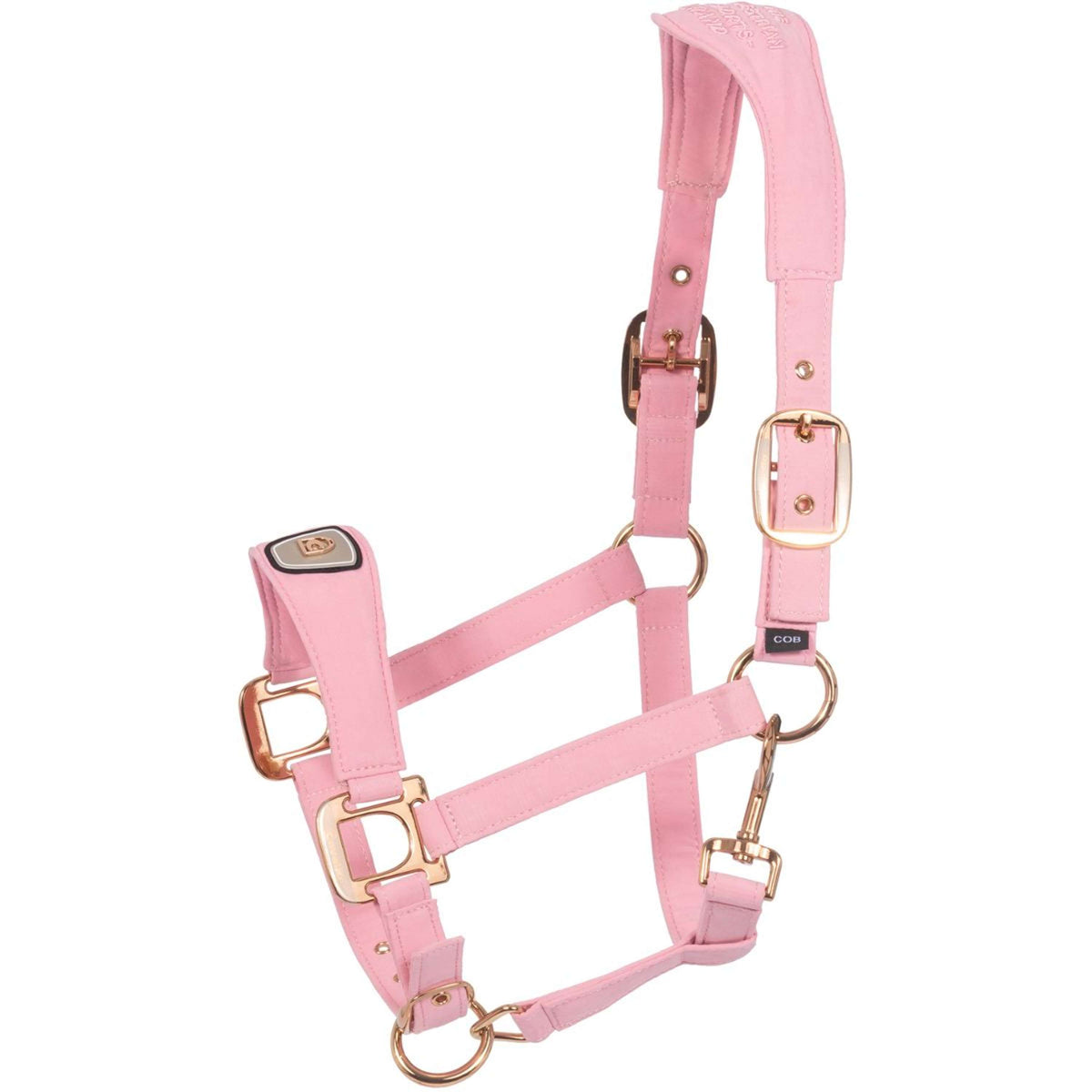 Cavallo Cavezza CavalPawel Powder Pink