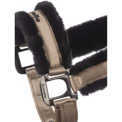 Cavallo Capezzina Cavaljero Biscotto