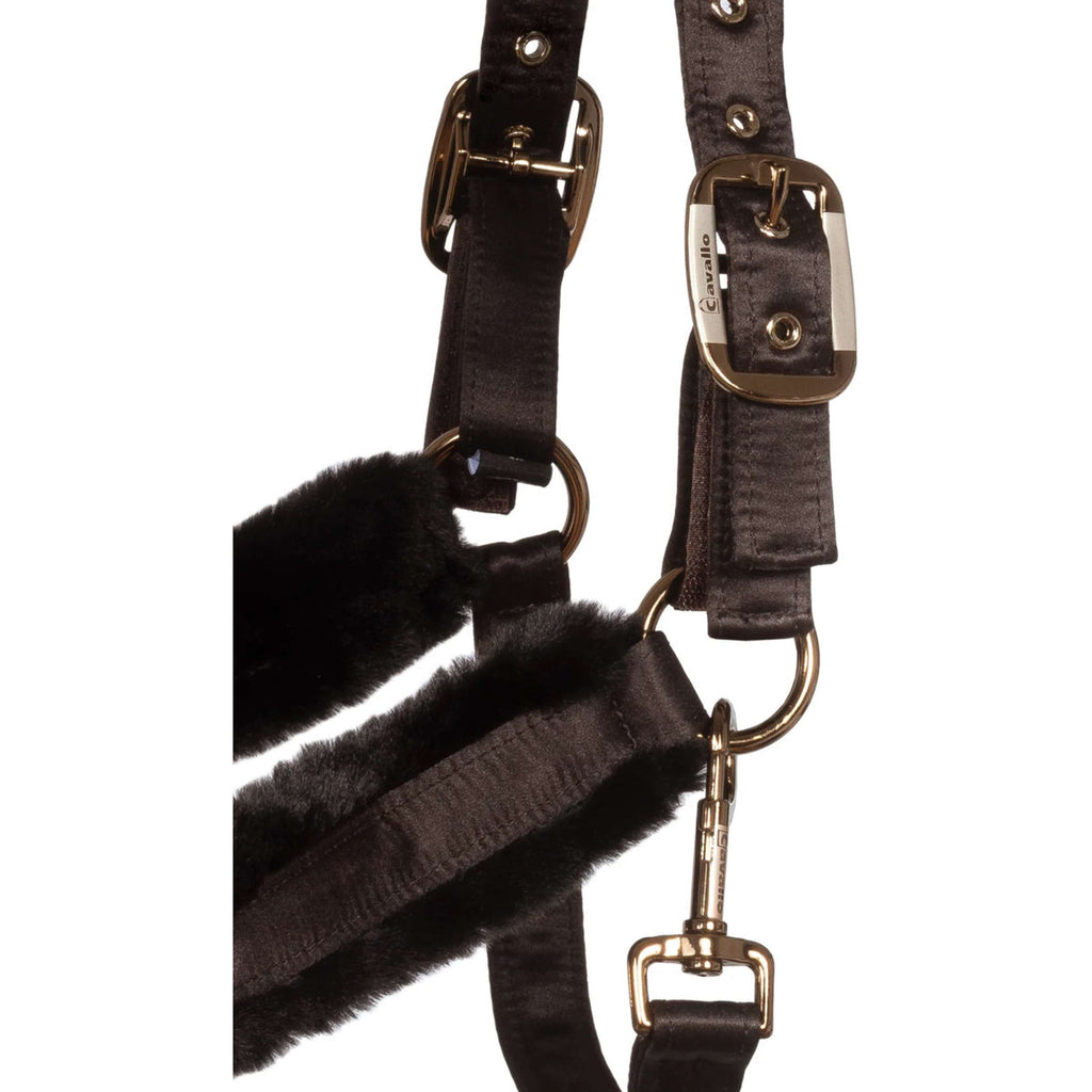 Cavallo Cavezza CavalJero con Pelliccia Café Noir