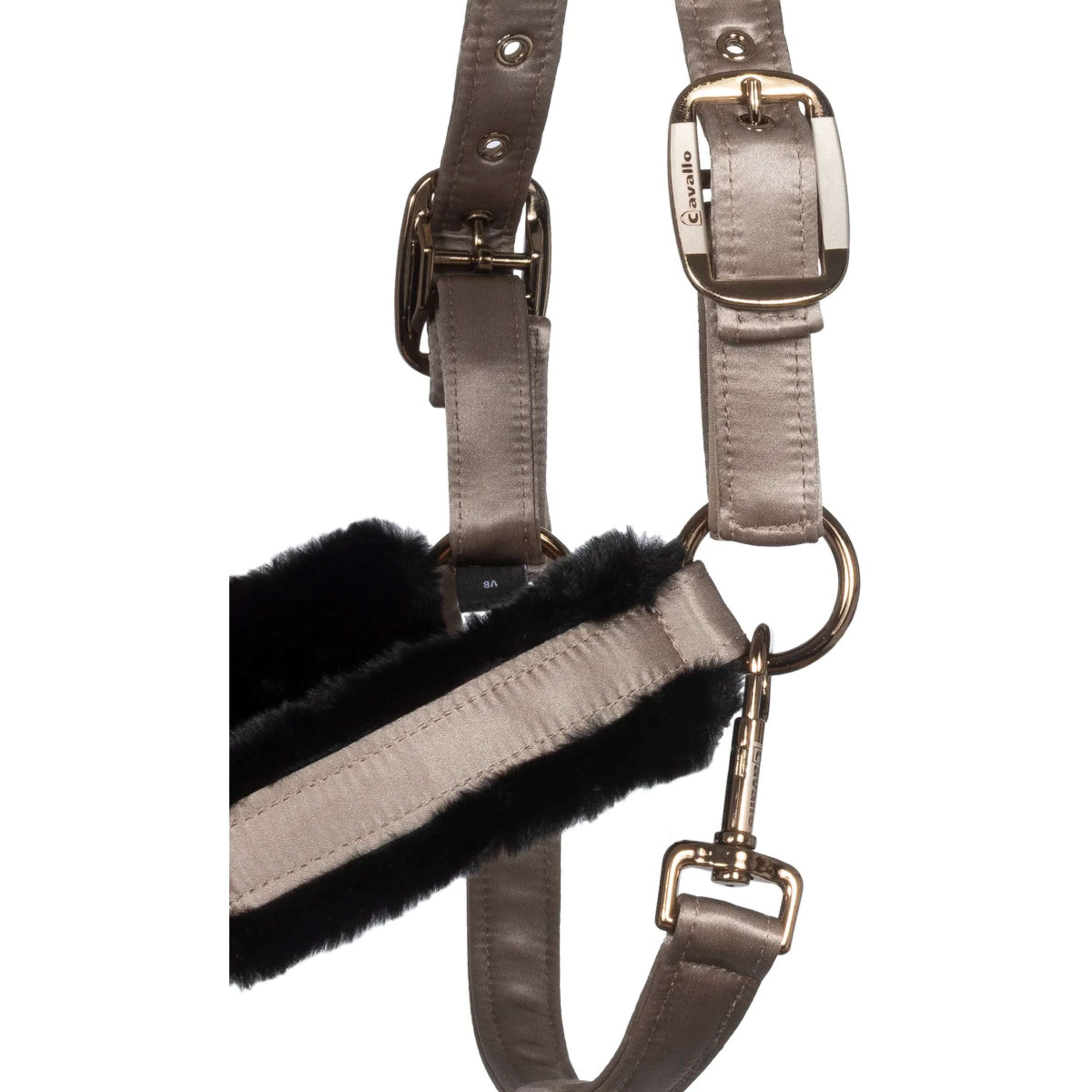 Cavallo Cavezza CavalJero con Pelliccia Latte