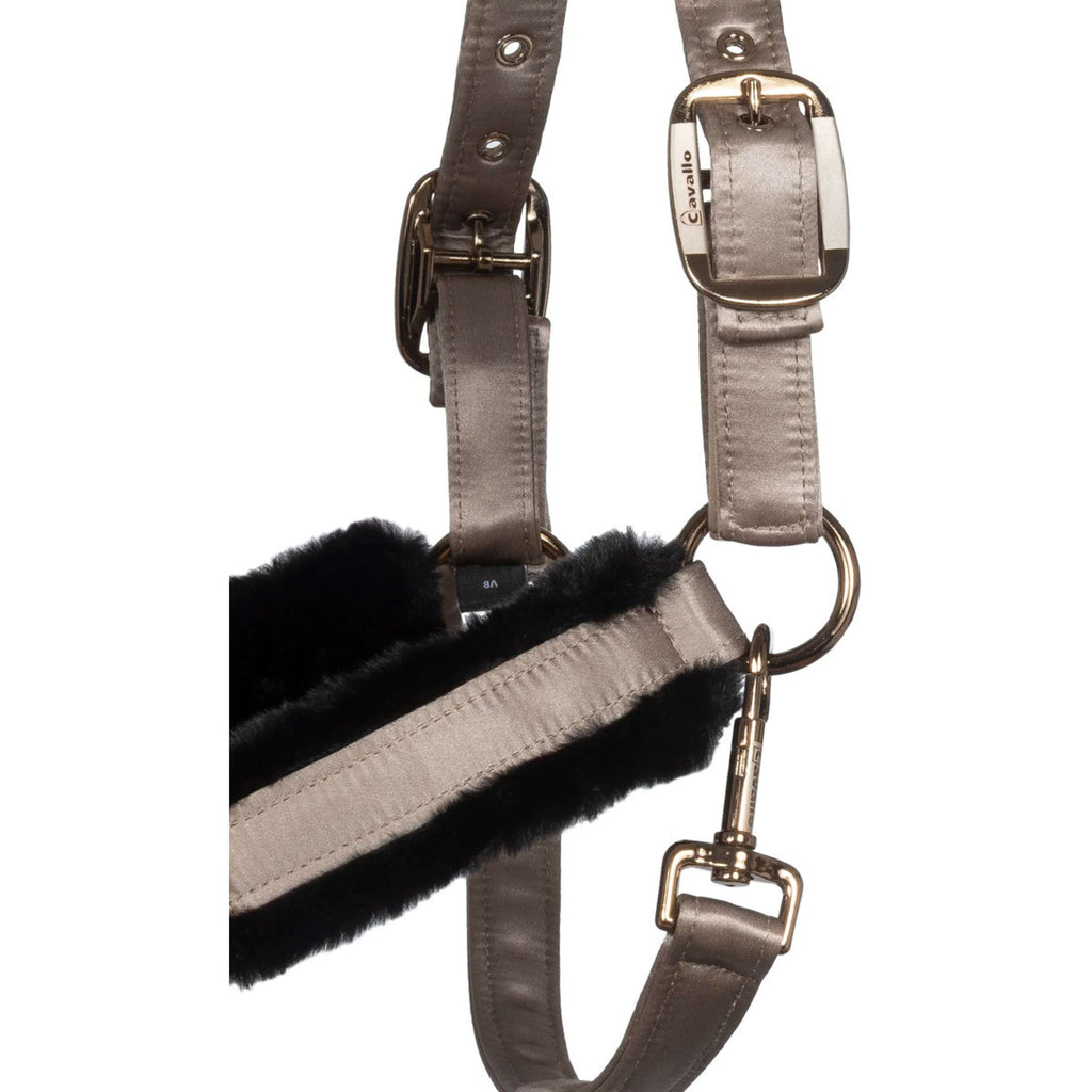 Cavallo Cavezza CavalJero con Pelliccia Latte