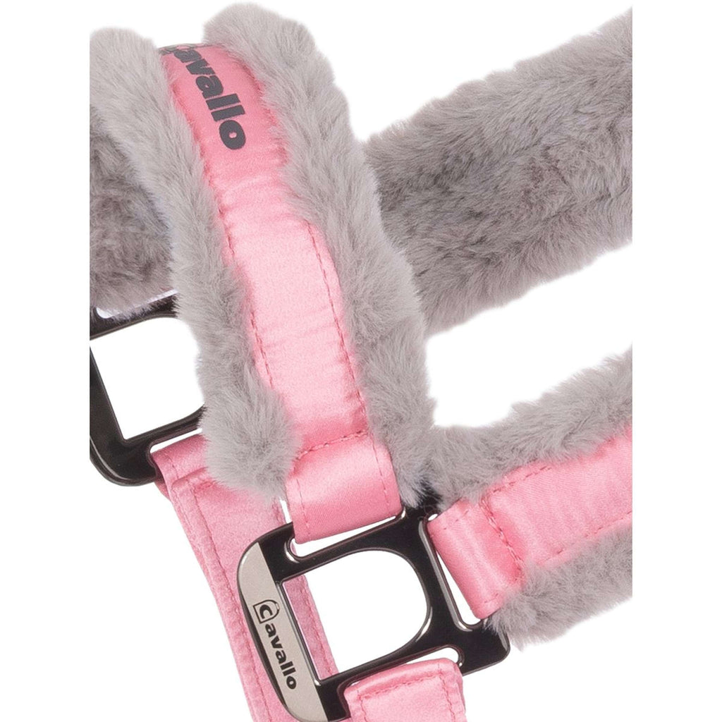 Cavallo Cavezza CavalJero Powder Pink