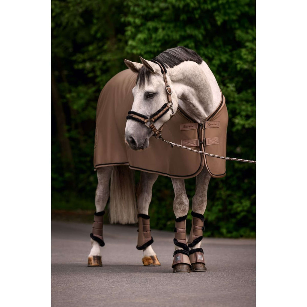 Cavallo Cavezza CavalJero Mocha Latte