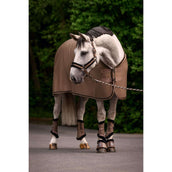 Cavallo Cavezza CavalJero Mocha Latte
