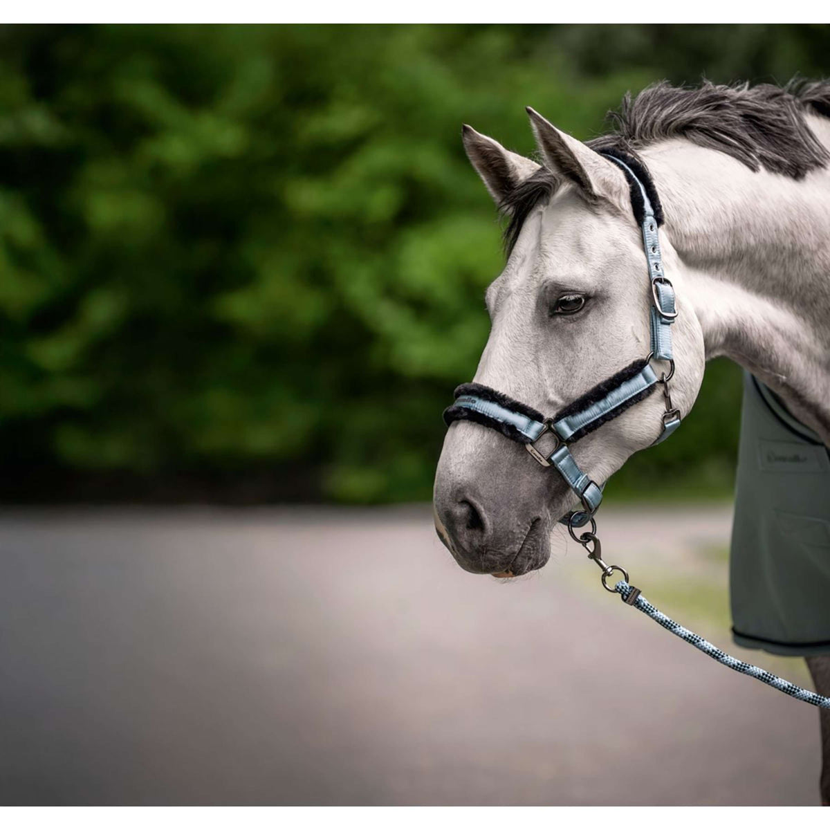 Cavallo Cavezza CavalJero Soft Aqua