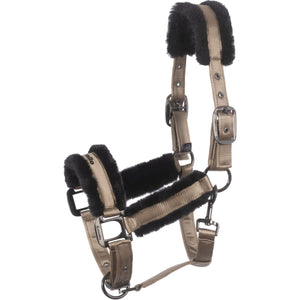 Cavallo Capezzina Cavaljero Biscotto