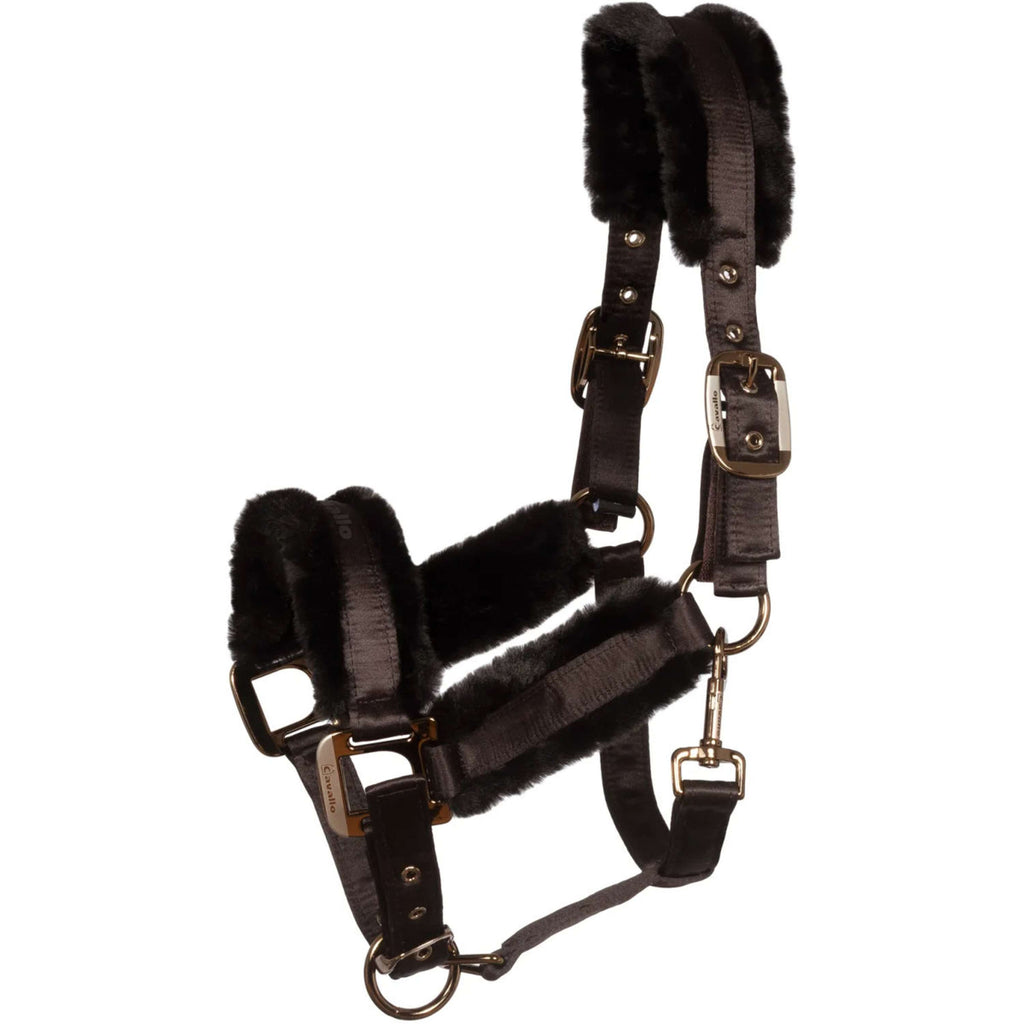 Cavallo Cavezza CavalJero con Pelliccia Café Noir