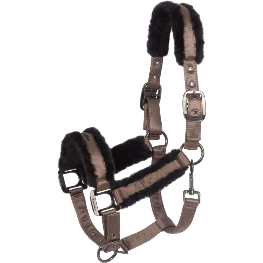 Cavallo Cavezza CavalJero Mocha Latte