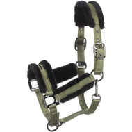 Cavallo Capezzina Cavaljero Tea Leaf