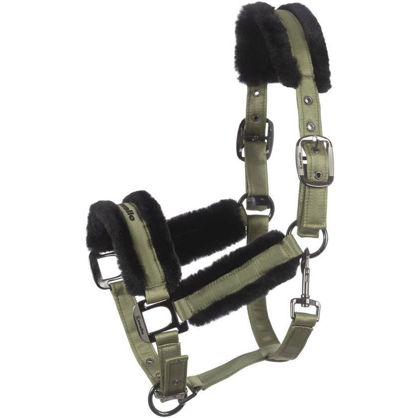 Cavallo Capezzina Cavaljero Tea Leaf