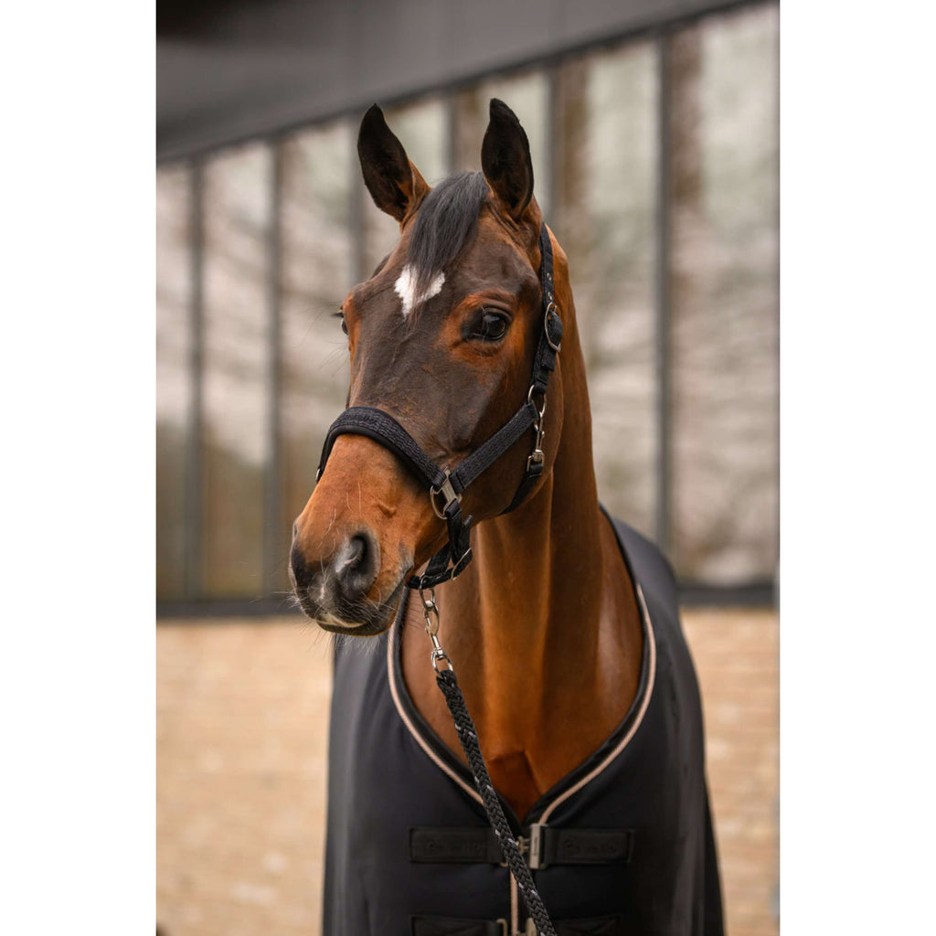 Cavallo Cavezza CavalRose Nero