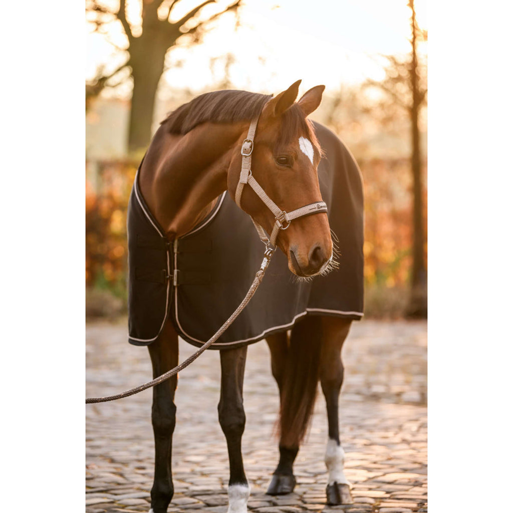 Cavallo Cavezza CavalRose Latte