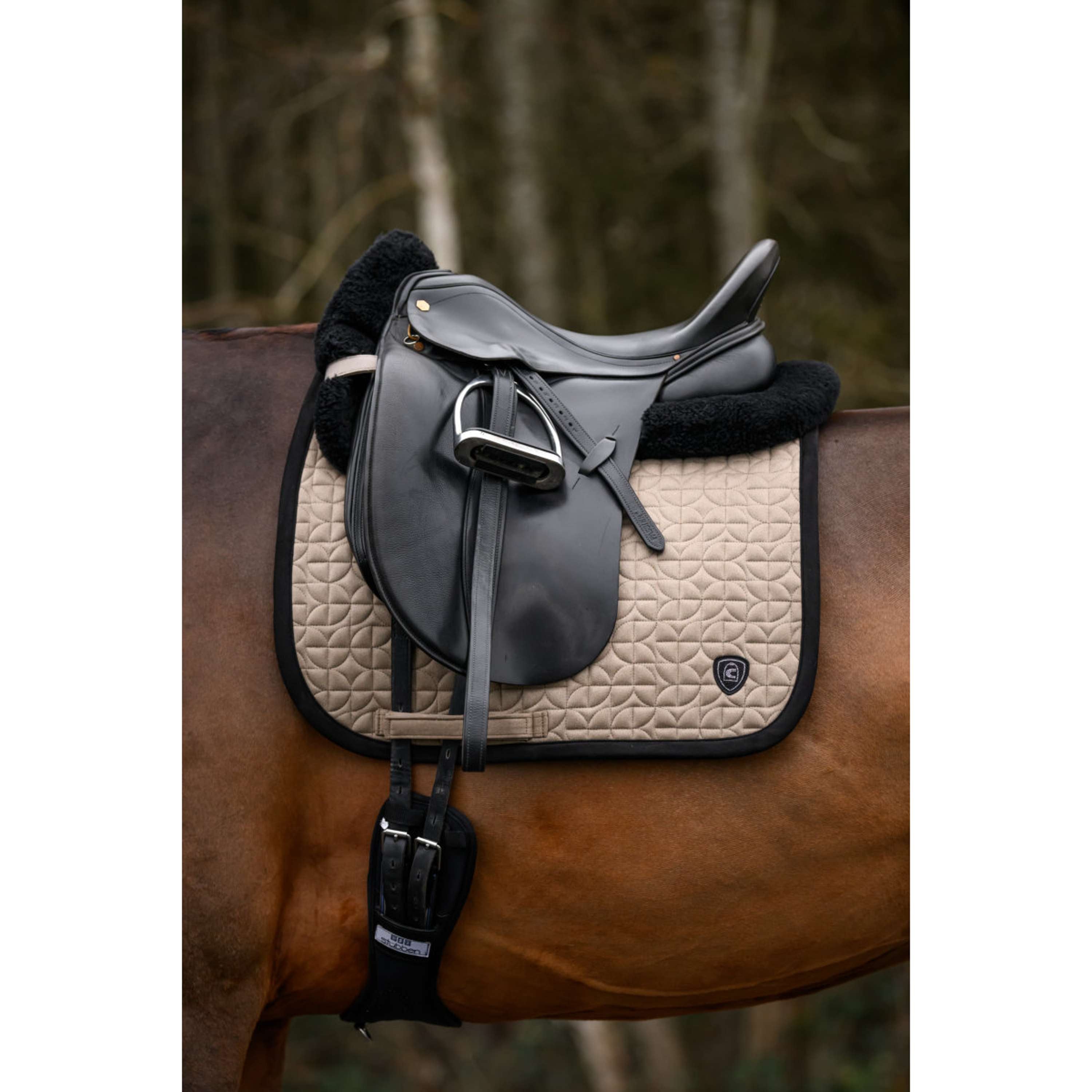 Cavallo Sottosella CavalRory Dressage Latte