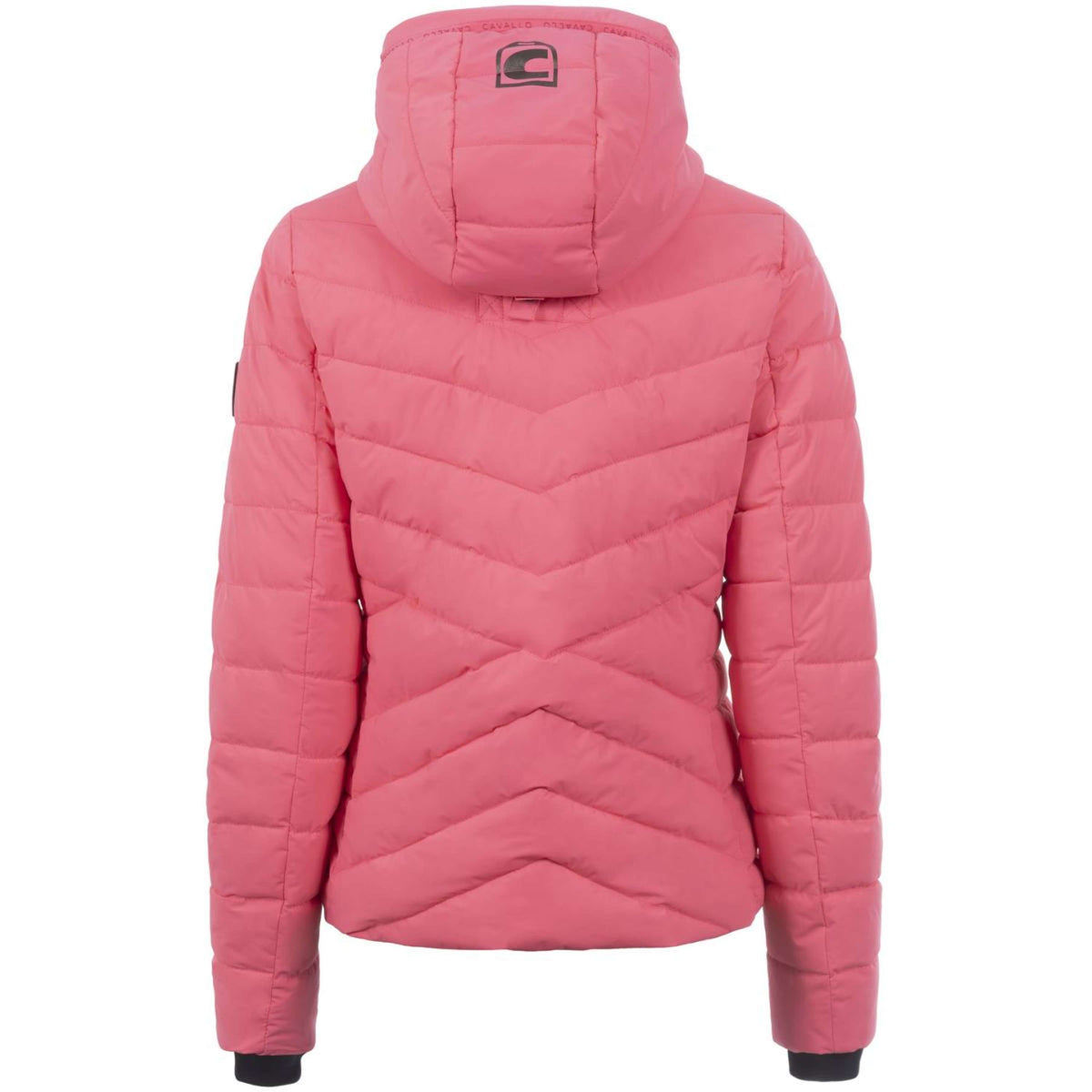 Cavallo Giacca Cavalraven Blush
