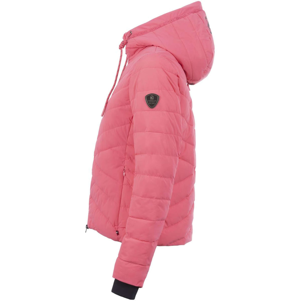 Cavallo Giacca Cavalraven Blush