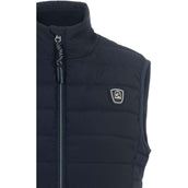Cavallo Jack CavalBay Blu scuro