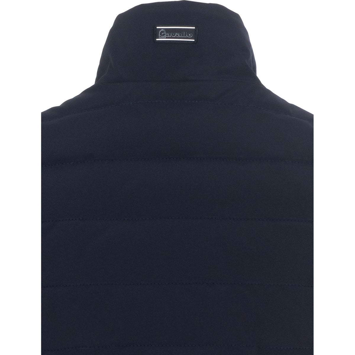 Cavallo Jack CavalBay Blu scuro