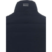 Cavallo Jack CavalBay Blu scuro