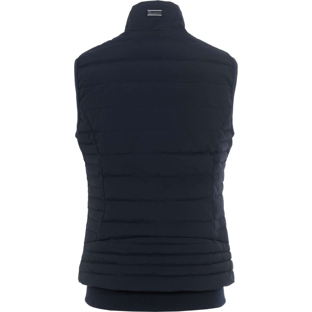 Cavallo Jack CavalBay Blu scuro