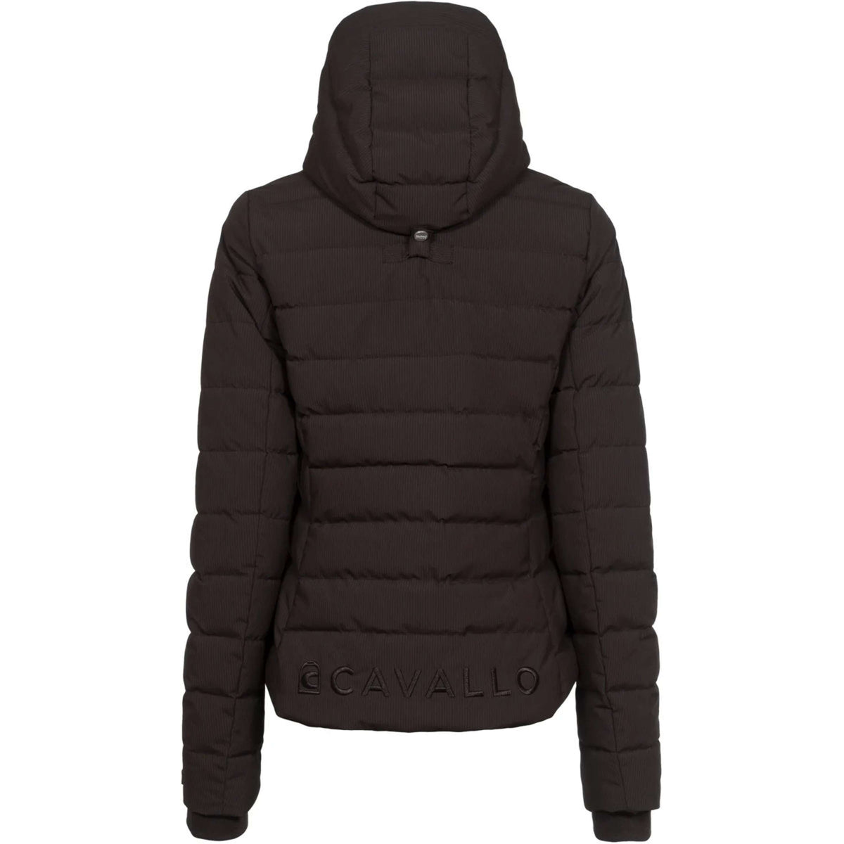 Cavallo Giacca CavalDanet Café Noir