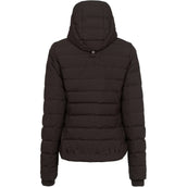 Cavallo Giacca CavalDanet Café Noir