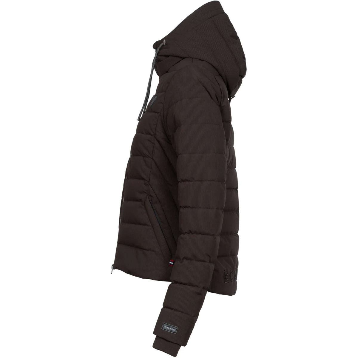 Cavallo Giacca CavalDanet Café Noir